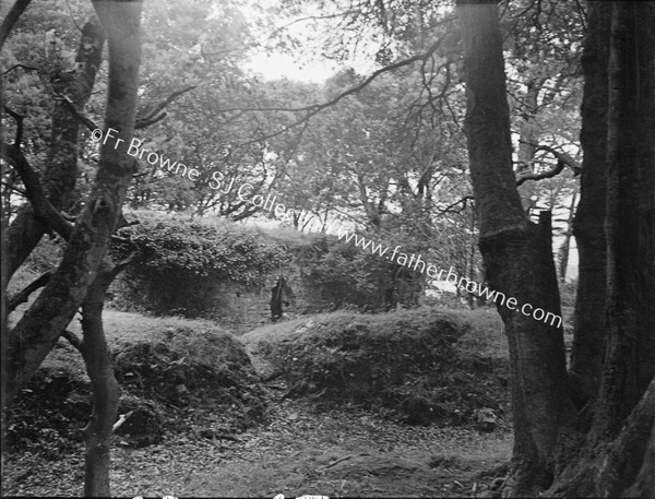 DUNBOY CASTLE SHOWING WALL & 